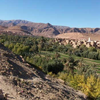 Surface de 7.63 ha de ce terrain à vendre à la palmeraie de Marrakech