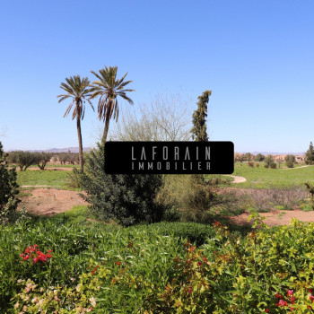 Vue du parc de la maison à vendre à Marrakech Palmeraie