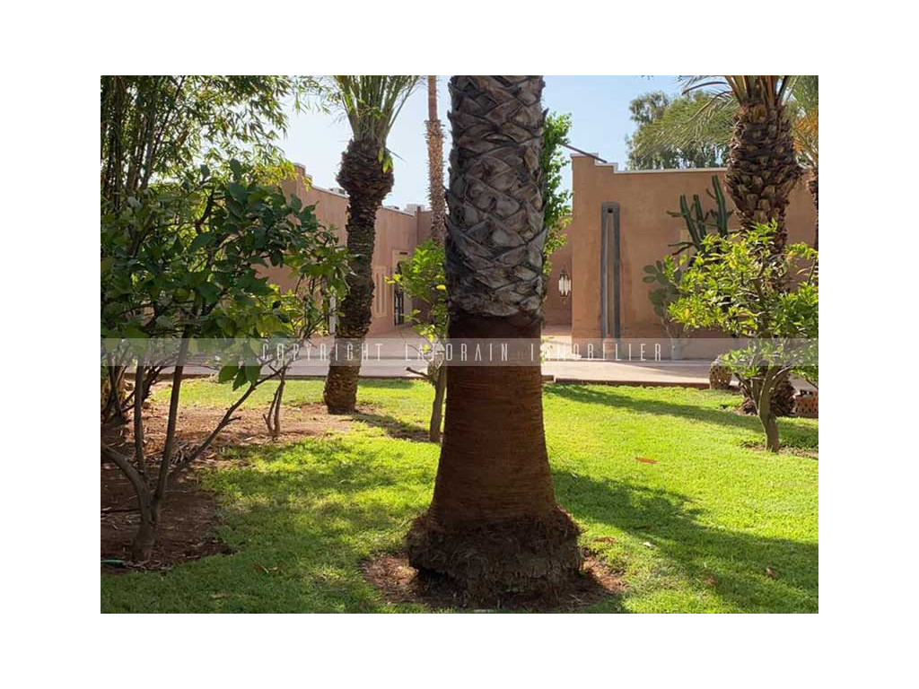 Immobilier Marrakech : Le jardin